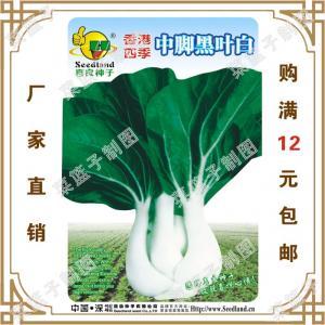 白菜种子
